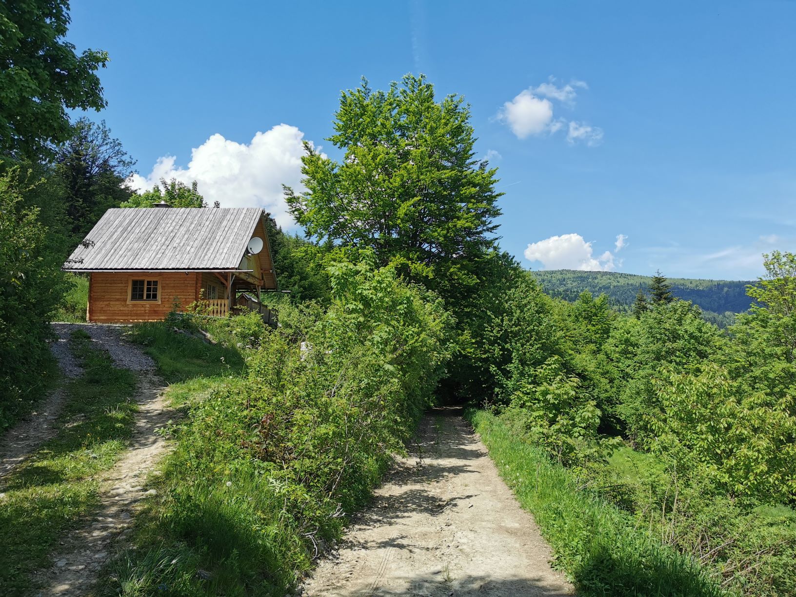 big cabin with mountain view