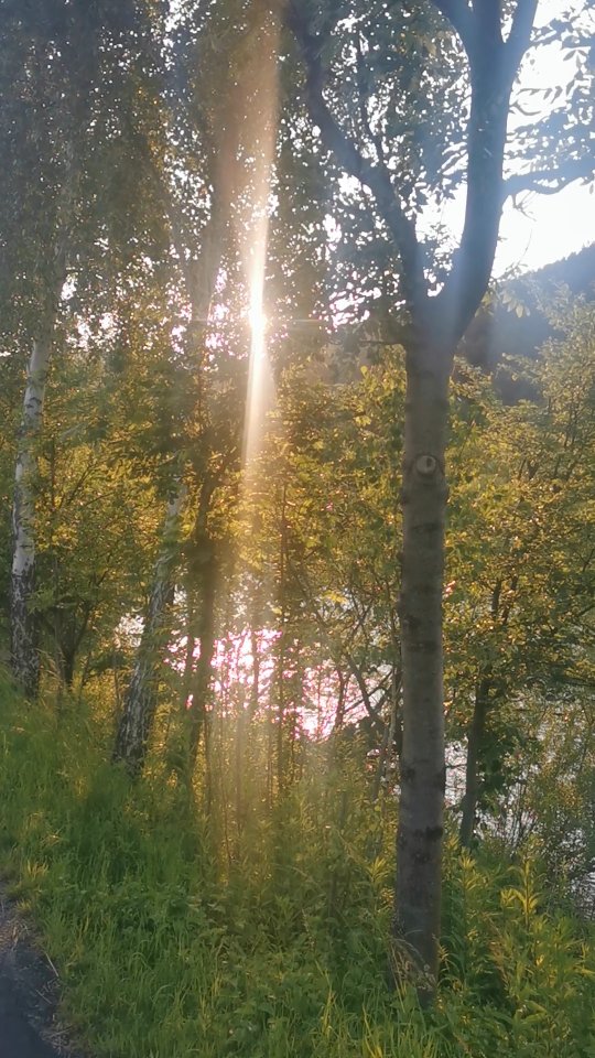 dunajec river surroundings